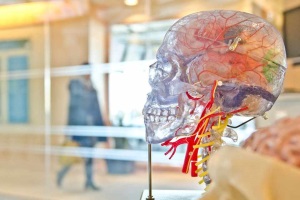Нейропротекция и нейропластичность – целостный подход и перспективы