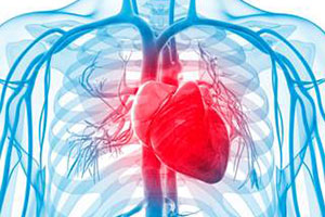 Рекомендации Европейского общества кардиологов 2005 года по лечению ХСН: что изменилось?