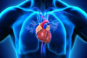 Артериальная гипертензия и сердечная недостаточность