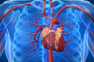 Дипиридамол можно безопасно применять у пациентов с ишемической болезнью сердца