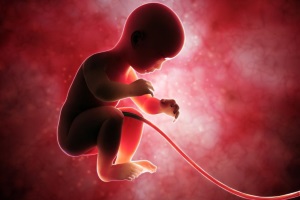 Щоб дитина народилася здоровою Актуальні аспекти пренатальної діагностики