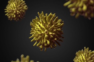 Вирусные гепатиты