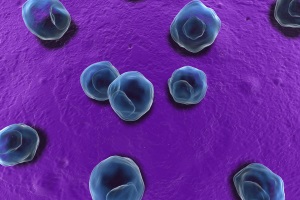 Інфекції, що спричинені Сhlamydophila pneumoniе