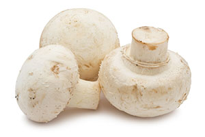 Съедобные грибы – диетически ценный продукт