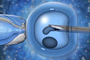 Мифы о методе ЭКО. Мнение репродуктолога