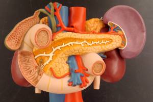 Досвід застосування комбінованого препарату заліза, міді і марганцю у дітей з патологією жовчовивідних шляхів та залізодефіцитними станами