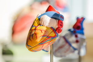 Вчені надрукували на 3D-принтері працюючий серцевий насос зі справжніх людських клітин