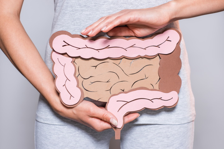 Якби кишечник міг говорити: 10 властивостей цього органа, про які слід знати