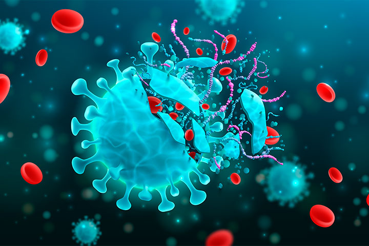 Знищення бактерій за допомогою вірусів як можливе вирішення проблеми антибіотикорезистентності