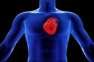 Проспективное многоцентровое открытое исследование эффективности и переносимости КВАдроприла у больных с Недостаточностью Кровообращения, обусловленной ишемической болезнью сердца и дилатационной кардиомиопатией (Исследование КВАНК)