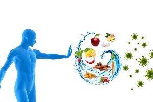 Імунітет і харчування: функціональний взаємозв’язок