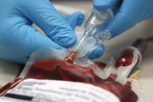 Сбор пуповинной крови в акушерско-гинекологической практике