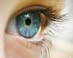 Глаза и зрение: инструкция по применению