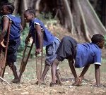 Рухнули грандиозные планы полной ликвидации полиомиелита на планете к 2012 году