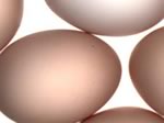 После испанских огурцов в Великобритании «вне закона» объявлены испанские яйца