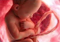 Недоношенный ребенок – это «приговор» на  всю жизнь