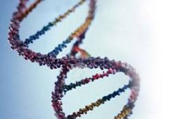 Экспресс-анализ ДНК оптимизирует лечение онкобольных