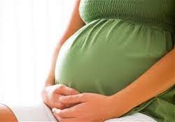 Анализ мочи на раннем сроке беременности расскажет об осложнениях