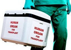 Раствор для хранения донорских органов оказался смертельно опасным