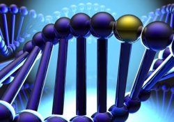 Мутация гена, рак груди и рак простаты: что общего