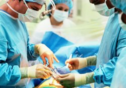 Профессор трансплантолог призывает изымать органы у еще живых доноров