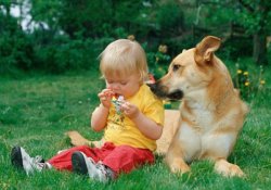Собака в доме защитит ребенка от астмы