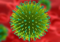 Способы профилактики гриппа и ОРВИ. Мифы и правда о профилактике гриппа
