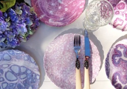 Тарелки с изображением срезов ткани яичек и кишечника – дизайнерская удача