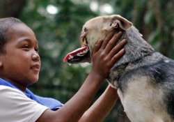 Отважная собака, изуродованная при спасении детей, скоро получит новое «лицо»