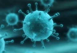 Украина в преддверии эпидемии гриппа: как защитить себя и своих близких от опасной инфекции?