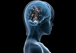 Новый метод лечения анорексии связан с электростимуляцией глубоких структур мозга