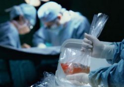 Реципиенты органов от посмертного донора получили «подарок» в виде глистов