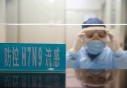Эксперты из США опубликовали тревожное заключение о вирусе «китайского» гриппа
