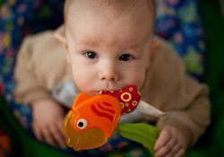 Раннее введение рыбных блюд в рацион малыша защитит его от аллергий