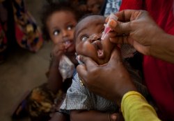 Полиомиелит не сдается: зарегистрированы новые случаи заболевания