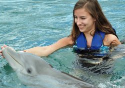 Роды с дельфинами: прогрессивный метод родовспоможения или шарлатанство?