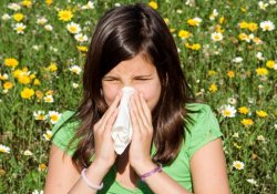 Новые антигистамины: пыльца и пыль обезврежены