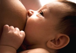 Материнское молоко – залог сообразительности ребенка