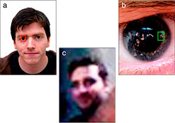 Можно ли «увидеть» отражение лица преступника на роговице глаз жертвы?