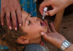 Проклятый город Пешавар: названа «столица» полиомиелита