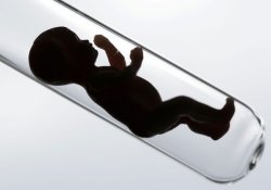 Итальянский «сериал» – врачи перепутали эмбрионы