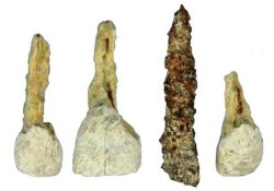 Зубное протезирование железного века – найден «штифт», которому 2 300 лет