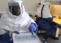 Ученые все ближе к созданию вакцины против лихорадки Эбола