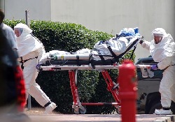 Врача из Франции будут лечить от лихорадки Эбола на родине