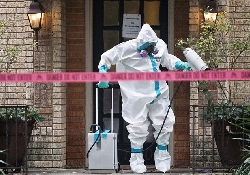 лихорадка Эбола