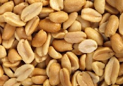 В Австралии успешно испытан новый метод лечения аллергии на арахис