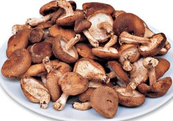 Вкусный эксперимент: грибы шиитаке способны повышать иммунитет