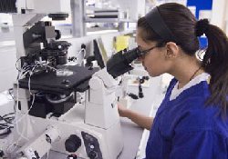 Потепление климата угрожает США миграцией смертельно опасной амебы на север