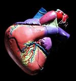 Кардиологические болезни отступают