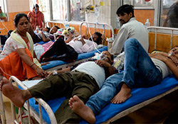 В столице Индии крупнейшая вспышка лихорадки денге